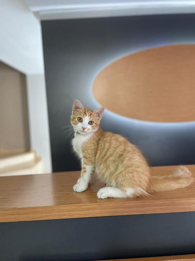 Hotel Otağ İstanbul Dış mekan fotoğraf
